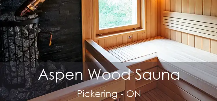  Aspen Wood Sauna Pickering - ON