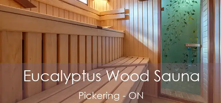  Eucalyptus Wood Sauna Pickering - ON